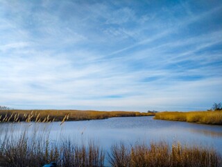 landscape with lake