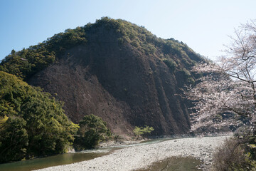 桜咲く古座の一枚岩春景色