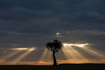 Storm Clouds, Masai Mara Game Reserve, Kenya