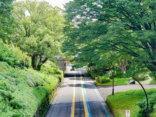 駒沢公園　ランニングコース