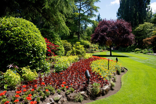 Butchart garden and lawn with flowers and trees in early summer 