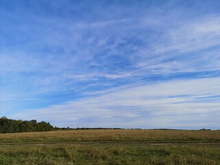 Fototapeta na wymiar Blue sky with feathery clouds