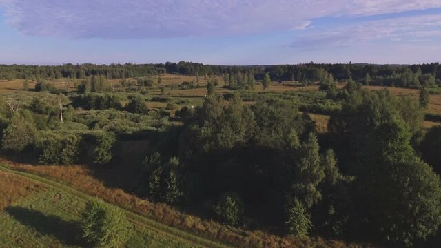 Aerial Flight Towards Two Winches Squatting On Deciduous Treetops