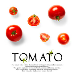 Fototapeta na wymiar Creative layout made of tomato on the white background. Creative flat lay set of tomatoes with simple text on white background, copy space.