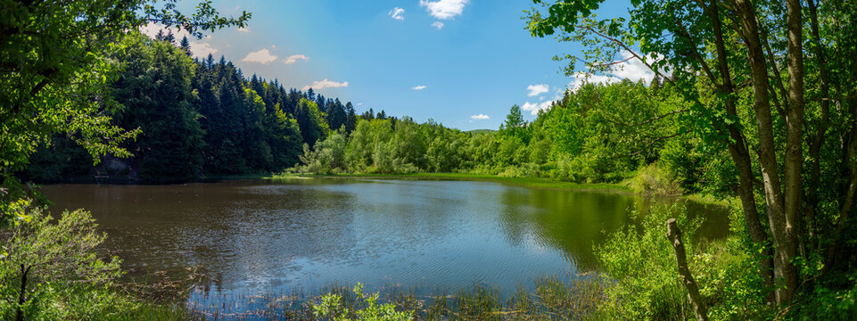 Panorama of forePanorama of forest lake. Lake among the forest on a sunny summer day. Panorama of a lake in the wst lake. Lake among the forest on a sunny summer day. Panorama of a lake in the woods.
