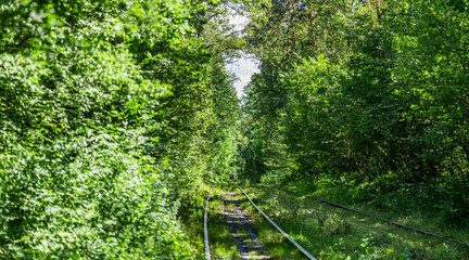 Tram tracks in a beautiful green forest, summer, sunny day.