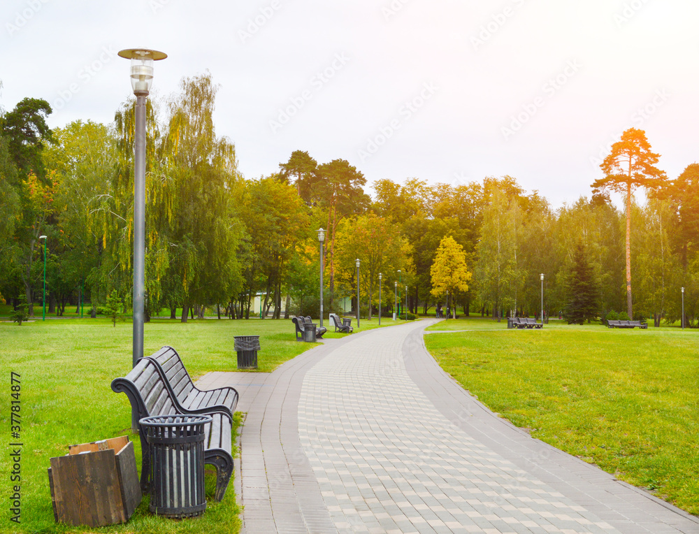 Wall mural walk in the autumn park with benches. autumn landscape