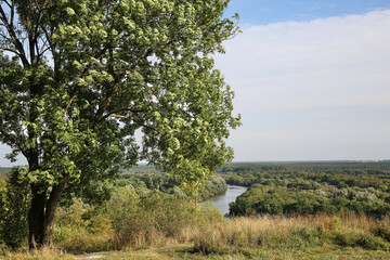 Landscape in the river valley.