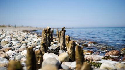 Old wood poles at the beach of the Baltic Sea in Northern Germany