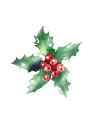 Fototapeta premium watercolor illustration. Christmas red berries and green holly leaves on a white background.