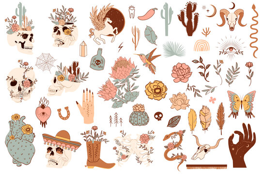 Set of cute mexico and wild west objects. Skulls, cactus, snake, horse, floral elements. Editable vector clipart illustration.