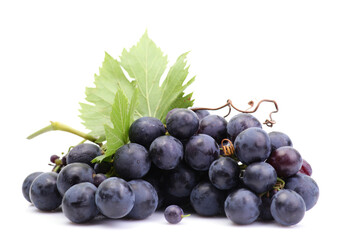 Grapes on a white background