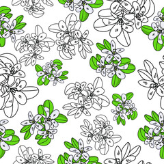 Seamless pattern of contour flowers and gentle blue flowers collected in a twig, light flowers with dark green leaves in combination with outline illustration
