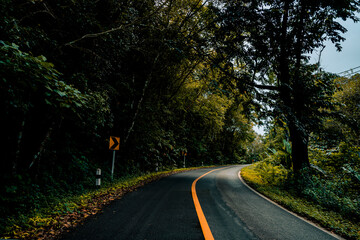 Countryside road passing through the serene lush greenery and foliage tropical rain forest mountain landscape on the Doi Phuka Mountain reserved national park the northern Thailand