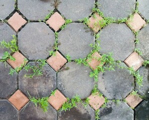 Background photos of wall textures in different locations