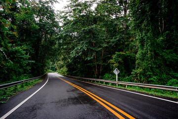 Countryside road passing through the serene lush greenery and foliage tropical rain forest mountain landscape on the Doi Phuka Mountain reserved national park the northern Thailand