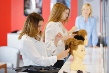 the hair salon dummy concept
