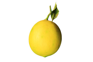 Lemon isolated on white background. Close-up.