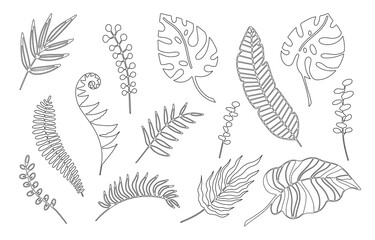 Fototapeta na wymiar Hand drawn branches set of tropical plants leaves isolated on white background. Outline doodle vector illustration. Design for pattern, logo, template, banner, posters, invitation, greeting card
