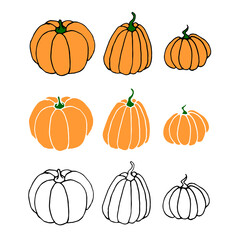Set of Pumpkin icon isolated on white background. Outline doodle and color. Symbol autumn, crop, fruitful year. Hand drawn vector EPS10 illustration