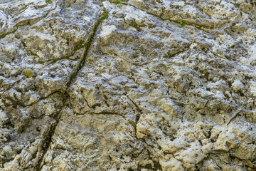 Background of stone texture with moss. Close up image.