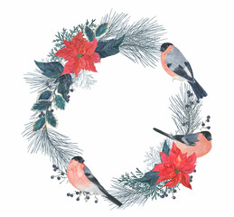 Watercolor painting a christmas wreath with bullfinch birds and red poinsettia flowers, indigo pine needles