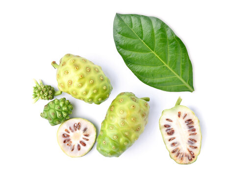Flat lay (Top view) of Noni or Morinda Citrifolia fruits with sliced and green leaf isolated on white background