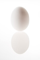 コロンブスの卵