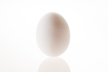コロンブスの卵