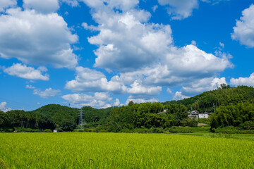 青空と農村の田園風景　京都府木津川市