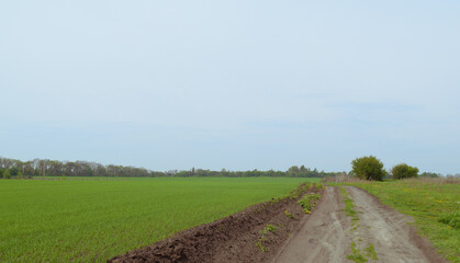 The road is near a large green field. Landscape