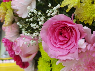 bouquet of pink roses