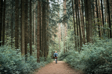 A woman rides into the distance along a forest road on a bicycle