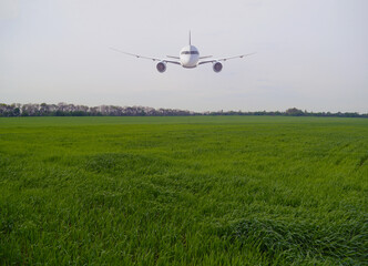 Large passenger airliner over a green field. Transport, travel