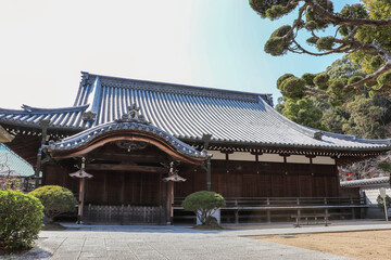 大きな瓦葺き屋根の寺院建築