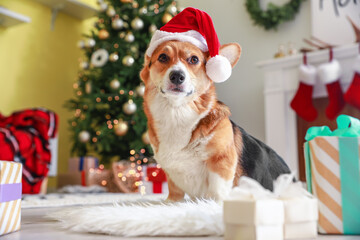 Cute dog in Santa hat at home on Christmas eve