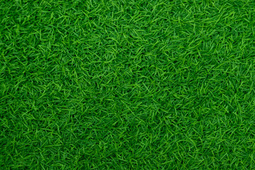 Green artificial grass natural use for background