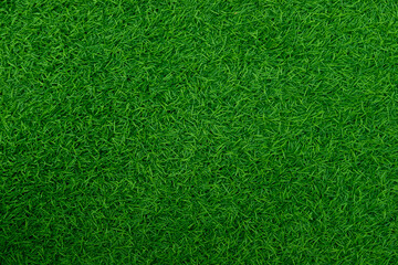 Fototapeta na wymiar Green artificial grass natural use for background