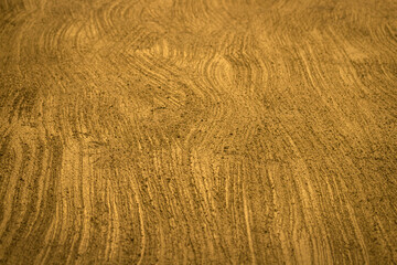 Gold wall treated with textured Rough plaster