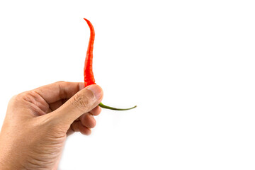 Isolated of hand picking up a fresh red chilli