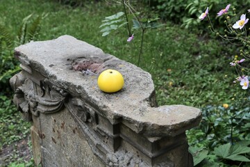 Stillleben - Schöner , makelloser , gelber Apfel auf einem alten Reliefstein