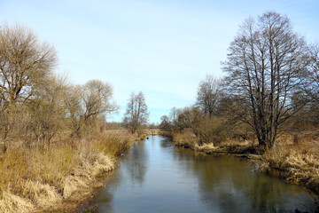 Fototapeta na wymiar A small river flows on a clear autumn day.