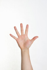 man's open hand on white background