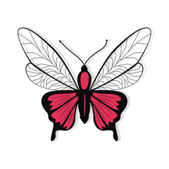 Butterfly Tattoo Design Vector