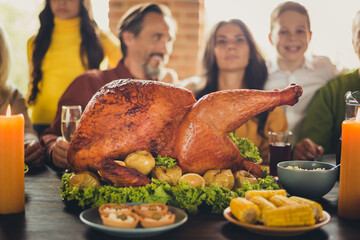 Portrait thanks giving dinner big decorated garnished turkey family gathering evening house living...