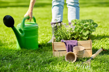 gardening and people concept - woman with watering can, garden tools and flowers in wooden box at summer © Syda Productions