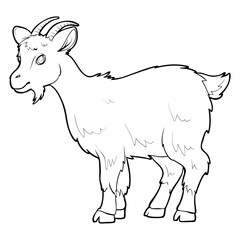 goat sketch, pet, coloring book, isolated object on white background, vector illustration,