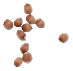Hazelnuts isolated on a white background.