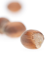Hazelnuts isolated on a white background.
