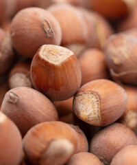 Close up of hazelnuts as background